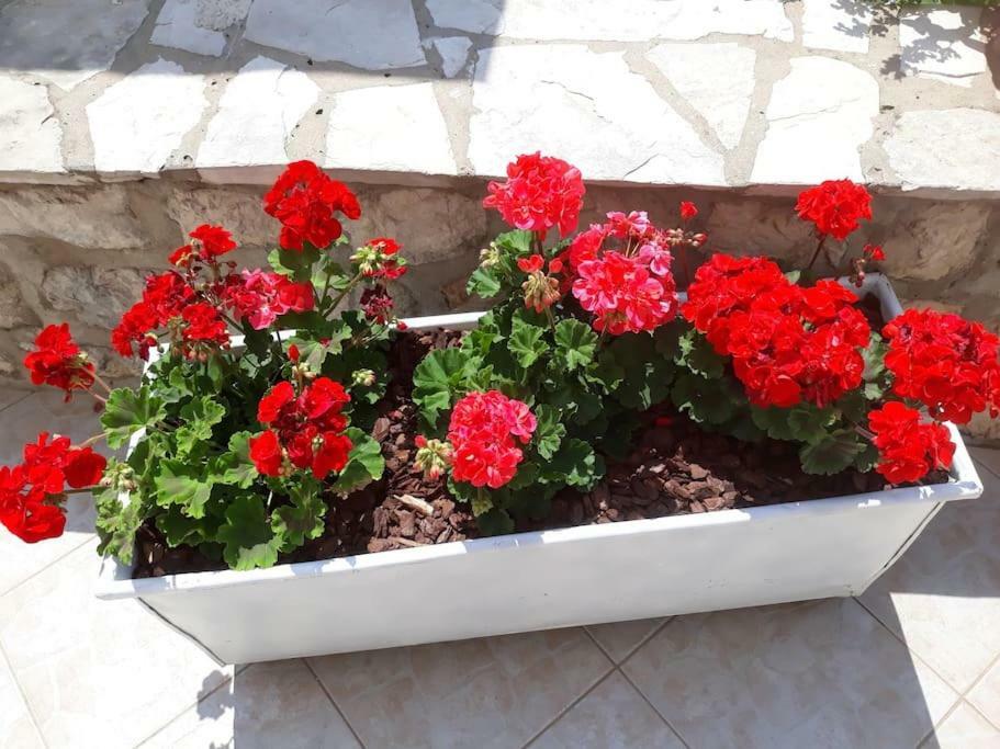 Villa Sweet Home Mokošica 외부 사진